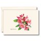 thumbnail image 1 of Juego de tarjetas de nota Earth Sky + Water 8 unidades 9 × 13 cm, 1 of 3