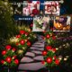 thumbnail image 4 of Luz de jardín solar DWH, paquete de 2, estaca LED de rosa roja, 4 of 7