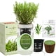 thumbnail image 2 of Kit hidropónico para cultivar hierbas Environet en frasco Mason de romero, 2 of 8