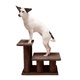 thumbnail image 5 of Escaleras Furhaven Steady Paws de Pet Furhaven, fáciles de varios escalones, 5 of 8