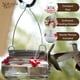 thumbnail image 5 of Comedero para platos con forma de colibrí Nature's Way Mason Jar, transparente, 5 of 8
