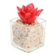 thumbnail image 1 of Cactus artificial 5*8cm, 1 of 2