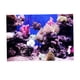 thumbnail image 1 of Póster De Paisaje De Pecera De Acuario 3D, Fondo De Pared De Pecera, 76x56cm, 1 of 5