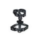 thumbnail image 1 of Arnes Para Perro Brnx Tipo H Diseño Doodle, Xsmall, 1 of 3