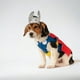 thumbnail image 1 of Disfraz Thor Dog M, 1 of 2
