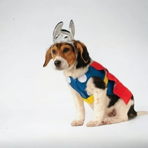 Roperros - Disfraz Thor Dog L