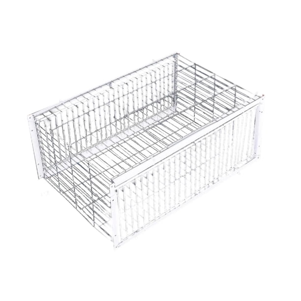 Jaula trampa para palomas, suministros para pájaros, fácil montaje, puerta de entrada de una sola vía, jaula para pájaros para L