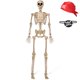 thumbnail image 1 of Decoración de Halloween Esqueleto JOYIN Pirata Posable de 153 cm, 1 of 9