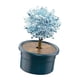 thumbnail image 5 of Novedad Kit De Cultivo De árboles De Cristal Juguete Educativo De Aprendizaje Para Niños Cerulean, 5 of 5