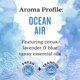 thumbnail image 4 of Spray de habitación Aura Cacia Ocean Air 240 ml, aroma ligero, 4 of 7