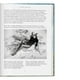 thumbnail image 5 of Astrología. La Biblioteca de Esoterismo, 5 of 7