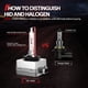 thumbnail image 4 of Bombillas HID Torchbeam D3S 6000 K, luz blanca fría, haz alto/bajo, 12 V, 4 of 7