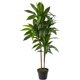 thumbnail image 1 of Planta artificial Dracena Nearly Natural de 48 pulgadas, 1 of 3