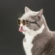 thumbnail image 4 of Cat Sunglasses Dog Glasses Classic Retro Circular Sunglasses Cool Pet Costume Accessory, 4 of 4