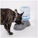 thumbnail image 2 of Dispensador de Agua para Mascotas Brando, 2 of 2