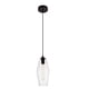 thumbnail image 2 of Lámpara Colgante Elegant Lighting Placido Negra Transparente 36 cm, 2 of 8