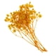 thumbnail image 4 of Hojas prensadas Flores secas naturales Tarjetas Scrapbooking haciendo amarillo, 4 of 5