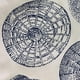 thumbnail image 3 of Cojín Plutus Seashell Haven, azul, diseño crema, 40 x 40 cm, 3 of 3
