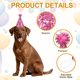thumbnail image 3 of Sombrero de Cumpleaños para Perros Uxcell, Sombreros Pequeños para Perros Gatos Sombrero de Fiesta de Cumpleaños con Pompones Ajustable Decoración Lentejuelas (Rosa Caliente, 2 Piezas), 3 of 7