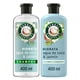 thumbnail image 1 of Shampoo Herbal Essences Agua de Coco & Jazmín + Acondicionador, 1 Un, 1 of 5