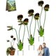thumbnail image 1 of Estaca jardín planta carnívora caprichosa Venus atrapamoscas 63cm decoración césped, 1 of 8