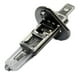 thumbnail image 4 of Ampolleta H1 24 Volts/70 Watts - Hella, 4 of 4
