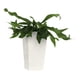 thumbnail image 1 of Macetero autorregante Lorena 26, 1 of 2