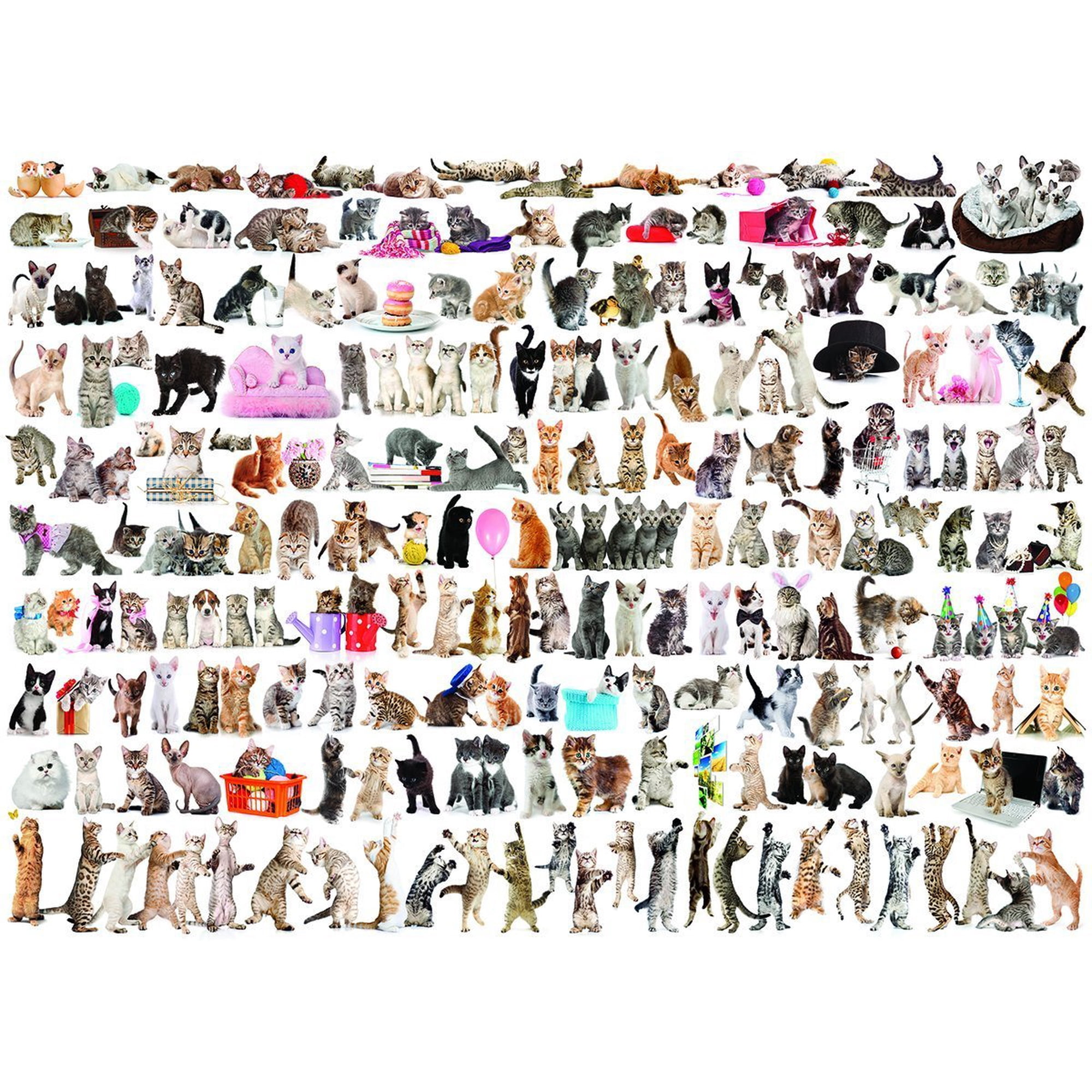 Rompecabezas Eurographics World Of Cats De 1000 Piezas