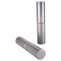 Pomel Pulido 3/8"" X 68Mm 2Un. - Lioi