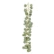 thumbnail image 4 of Faux Silver Dollar Guirnalda De Eucalipto Hojas Artificiales Decoración Verde, 4 of 5