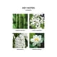thumbnail image 3 of Recambio para difusor de fragancia NEST New York Bamboo, 10 ml, juego de 2, 3 of 4