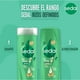 thumbnail image 3 of Shampoo Sedal Rizos Definidos, 340 ml, 3 of 5
