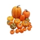 thumbnail image 3 of 16 Calabazas Artificiales Para Repisa De Chimenea Para Jardín De Acción De Gracias, 3 of 5