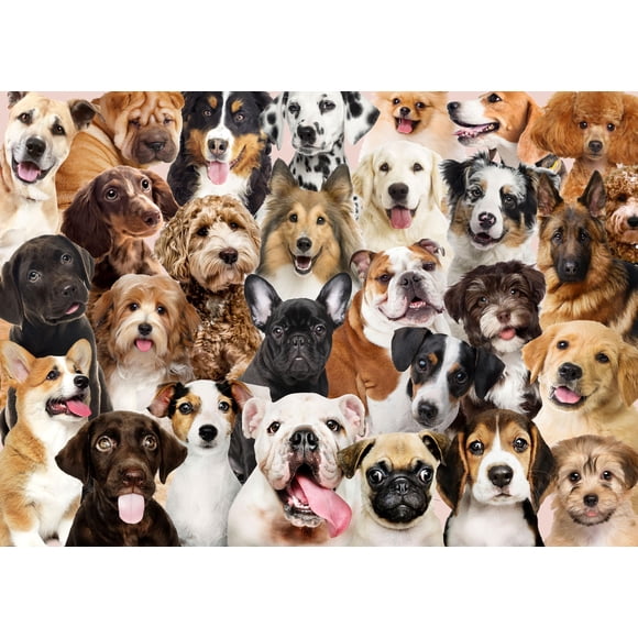 Rompecabezas PETER PAUPER PRESS All The Dogs 1000 piezas