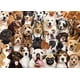 thumbnail image 1 of Rompecabezas PETER PAUPER PRESS All The Dogs 1000 piezas, 1 of 3