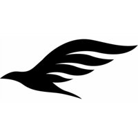 Rienda Libre Graphics - Decomural Soaring Bird Ws-15700