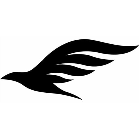 Rienda Libre Graphics - Decomural Soaring Bird Ws-15700