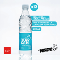 Pack 12 Agua Mineral Natural Summus Sin Gas 500 Ml