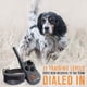 thumbnail image 2 of Collar de entrenamiento remoto SportDog FieldTrainer 425X para perros, 2 of 8