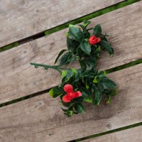 Vadell Home - Gardenia Roja, Rama Decorativa De 30 Cm Con Protección Uv