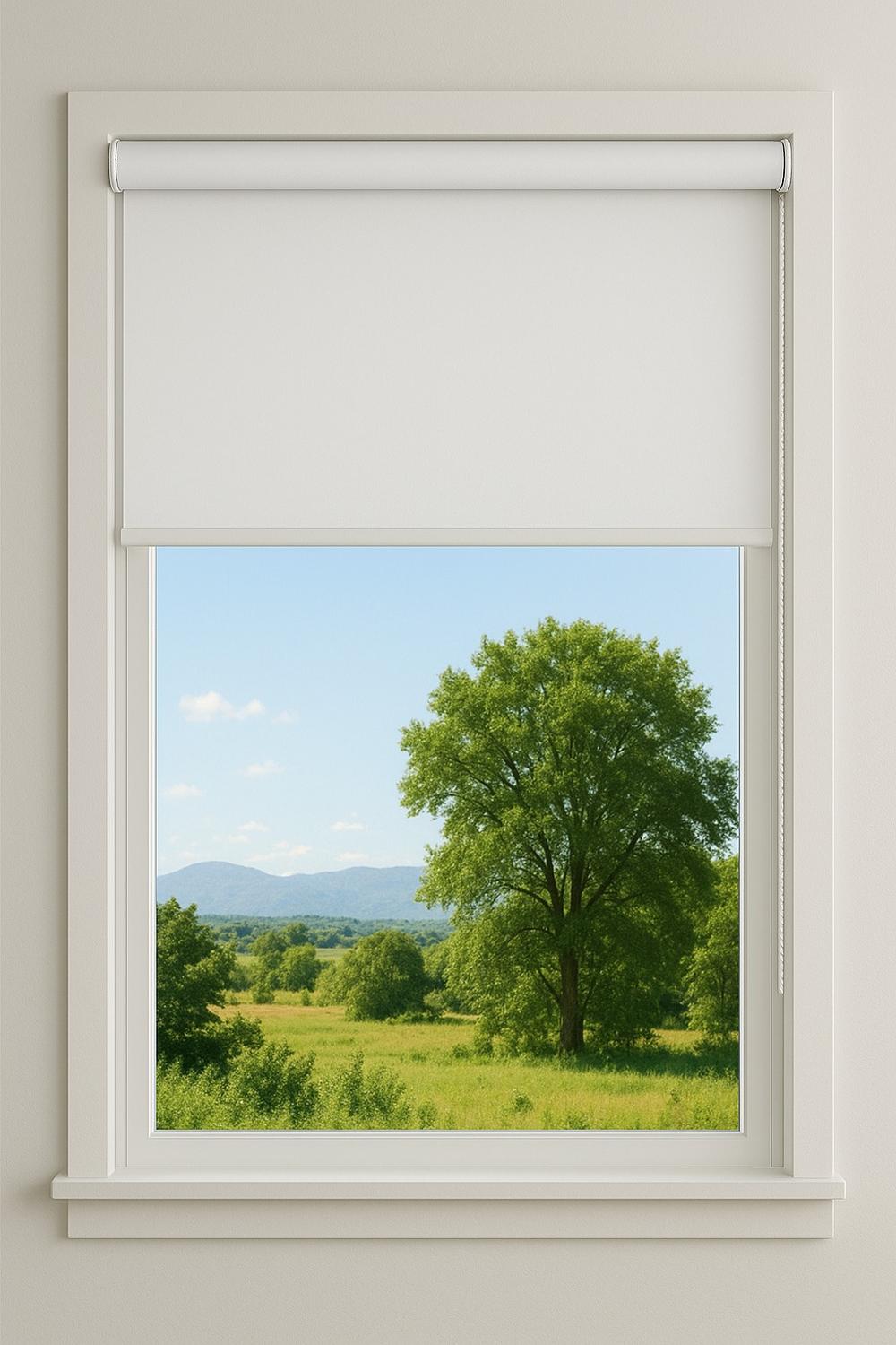 Cortina Roller Blackout Clems 105X160 Termica