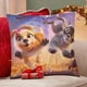 thumbnail image 4 of Gracie y Pedro Fundas de almohada de terciopelo con tema, regalos de funda de almohada, decoración para el hogar, cojín de lanzar, regalo de cumpleaños para fans y parejas.30*30cm., 4 of 6