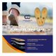 thumbnail image 4 of Plantillas Ortopedicas Acolchadas con Memory Foam Resistentes, 4 of 8