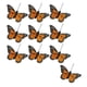 thumbnail image 1 of 10 Plumas Artificiales De Decoración De Mariposa Simulada Para Pared De Boda, 1 of 5