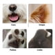 thumbnail image 3 of Maquina Para Rebaje Mascotas, Perros Y Gatos, Usb Y Con Luz, 3 of 6