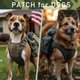 thumbnail image 5 of Parche de tela Patchins México – Pack de 6 bordados, 5 of 7