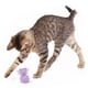 thumbnail image 3 of Juguete Interactivo Gato SmartyKat Teeter Tiger Plastico, 3 of 3