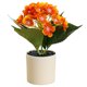 thumbnail image 1 of Bonsái de hortensia artificial, flor de seda, planta verde artificial para decoración de interiores, planta en maceta., 1 of 5