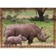 thumbnail image 4 of Puzzle Rinocerontes (100 Piezas) - Toyng, 4 of 4