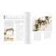 thumbnail image 5 of Libro Thomas Nelson Cozy White Cottage Seasons Interior, 5 of 6